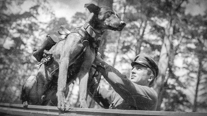 الكلاب في حروب الأتحاد السوفيتي مع هتلر 1